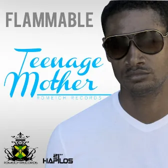 Teenage Mother - Single by flammable