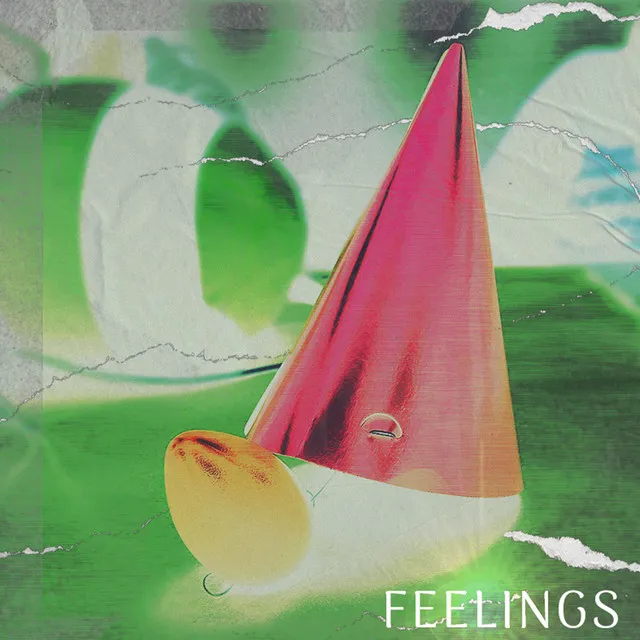 Feelings