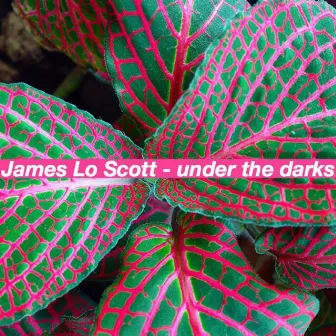 Under the Darks by James Lo Scott