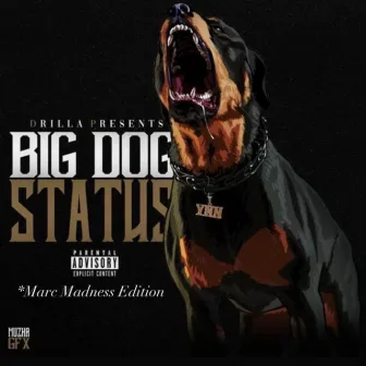 Big Dog Status by Drilla