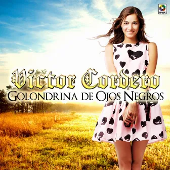 Golondrina de Ojos Negros by Victor Cordero