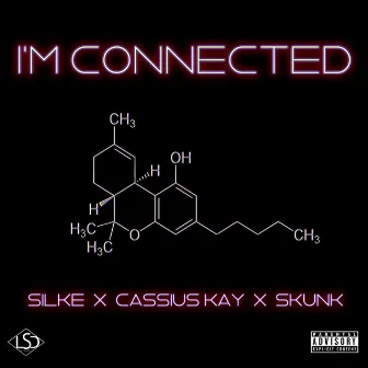 I'm Connected by Van Silke