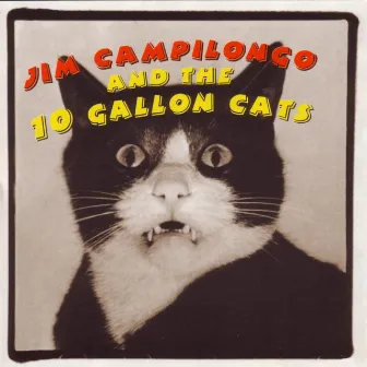 Jim Campilongo and the 10 Gallon Cats by Jim Campilongo