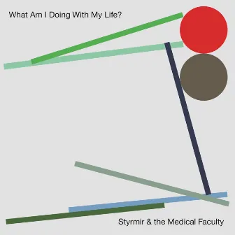 What Am I Doing With My Life? by Styrmir & the Medical Faculty