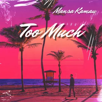 Too Much by Mansa Kamau