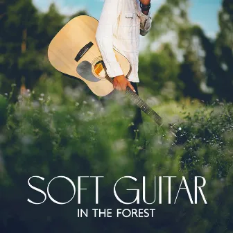 Soft Guitar In The Forest – Acoustic & Nature Sounds Mix: Soothing & Deep Relaxing Ambience by Acoustic Guitar Zone