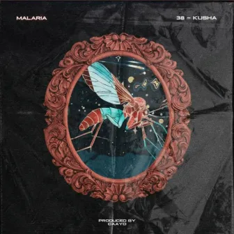 Malaria by Kusha