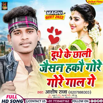 Dudh Ke Chhali Jaisan Hakau Gore Gore Gaal (Maghi) by Ashish Raja