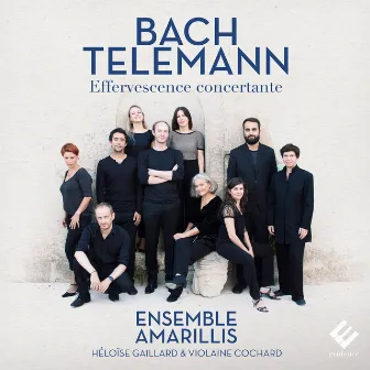 Bach & Telemann: Effervescence concertante by Ensemble Amarillis