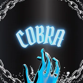 Cobra by Ryann T