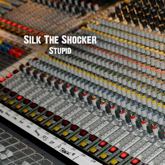 Stupid by Silk The Shocker