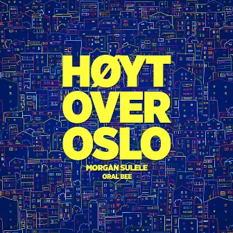 Høyt over Oslo by Morgan Sulele