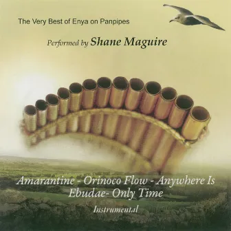 The Very Best of Enya On Panpipes by Shane Maguire