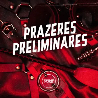 PRAZERES PRELIMINARES by THG da ZS