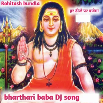 bharthari baba DJ song by Rohitash kundla