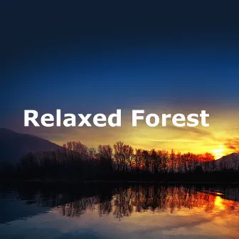 Relaxed Forest by Rainforest Music Therapy