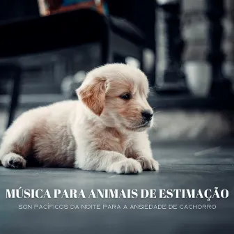 Música Para Animais De Estimação: Son Pacíficos Da Noite Para A Ansiedade De Cachorro by Dormir Ayuda