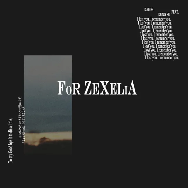 for Zexelia (feat. KUNG-FU)