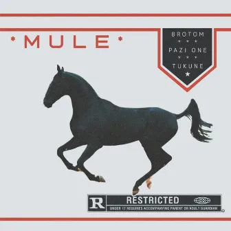 MULE by BROTOM