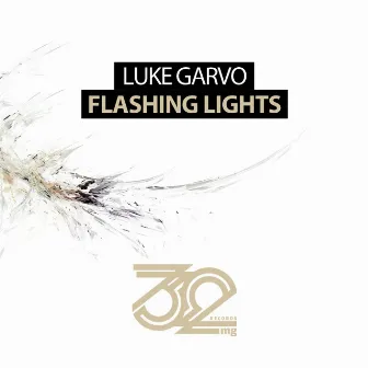 Flashing Lights by Luke Garvo