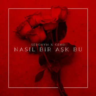 Nasıl bir aşk bu by Seronym