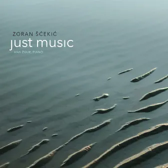 Zoran Šćekić: Just Music by Zoran Šćekić