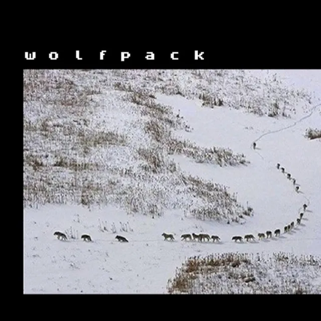 wolfpack