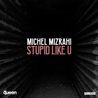 Stupid Like U by Michel Mizrahi