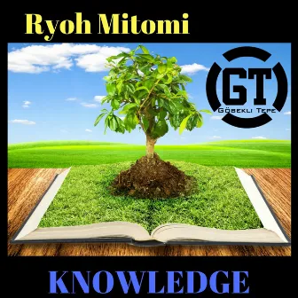 Knowledge by Ryoh Mitomi