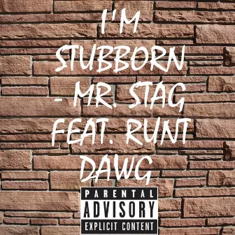 I'm stubborn by Mr. Stag