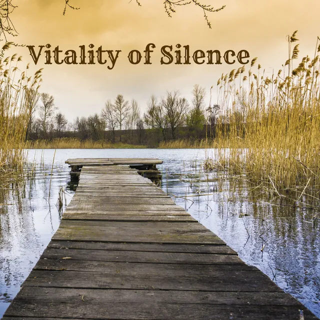 Vitality of Silence - Path of Awakening, Self Acceptance, Spiritual Progress, Sense Protection