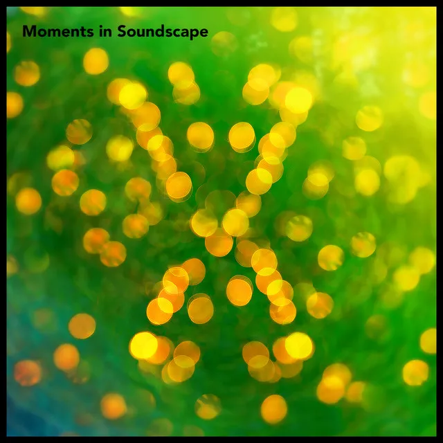 Moments in Soundscape