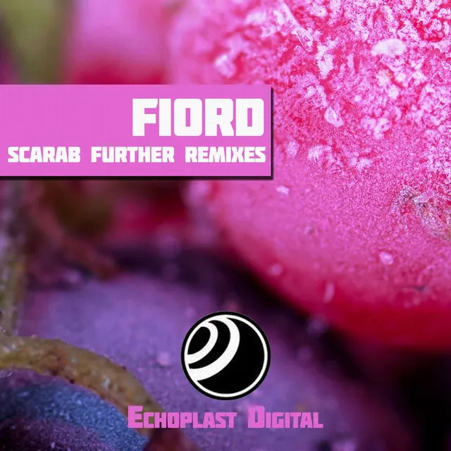 Scarab Further Remixes