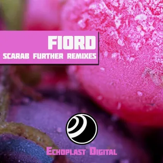 Scarab Further Remixes by Fiord