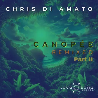 Canopée Remixed, pt. II by Chris Di Amato