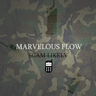 Scam Likely by Marvelousflow