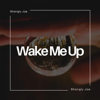 Wake Me Up by Shangly Joe