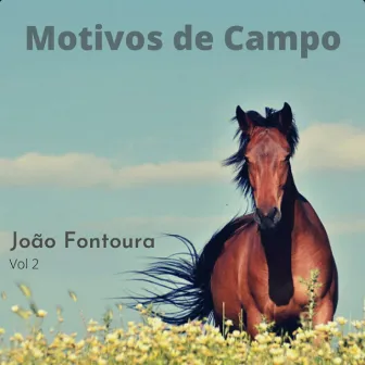 Motivos de Campo 2 by João Fontoura