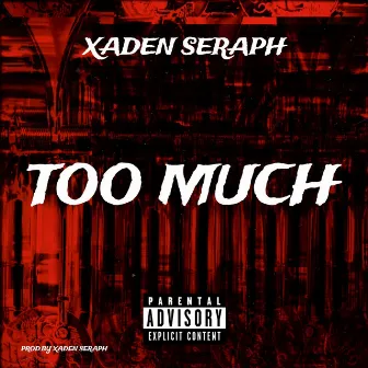 Too Much by Xaden Seraph