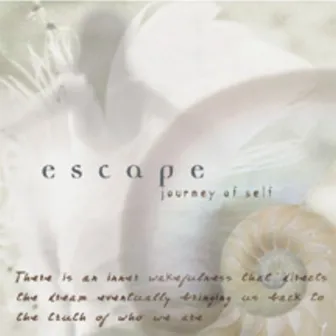 Escape by Satori