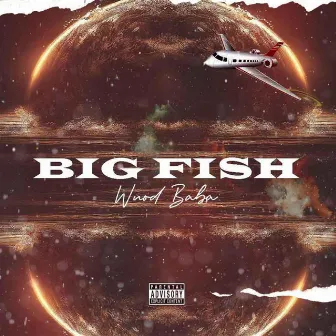 BIG Fish by Wuod Baba