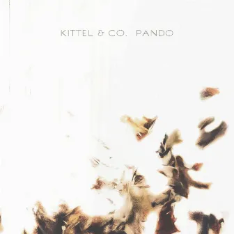 Pando by Jeremy Kittel