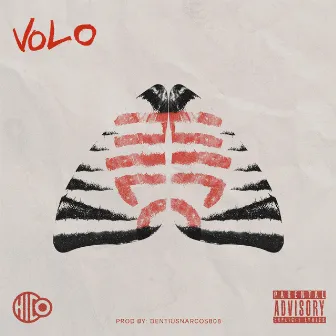 VOLO by Hico