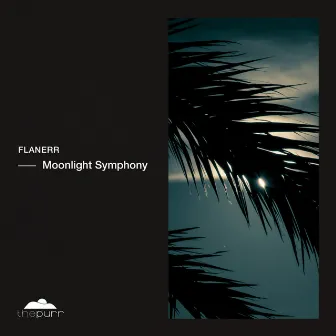 Moonlight Symphony by flanerr