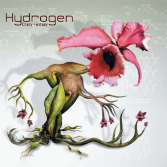 Crazy Fantasy by Hydrogen