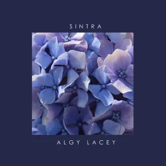 Sintra by Algy Lacey