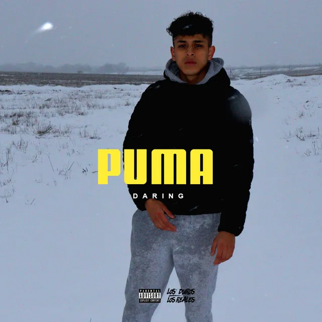 PUMA