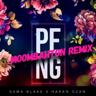 Peng Moombahton Remix by Sama Blake