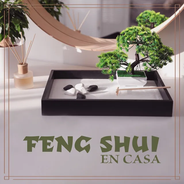 Feng Shui en Casa: Purificazione Dell'Aura, Purificazione Dell'Energia negativa, Qigong