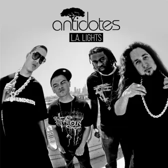 L.A. Lights by The Antidotes